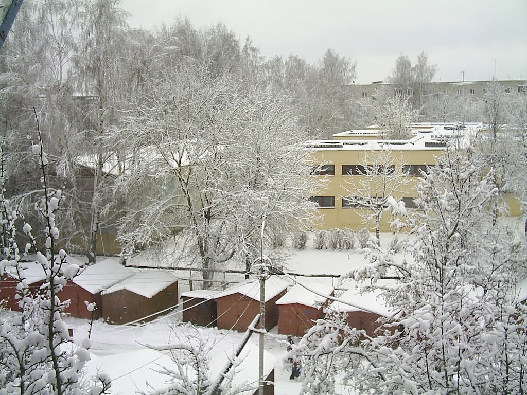 Зимний двор (вид из окна), Людиново