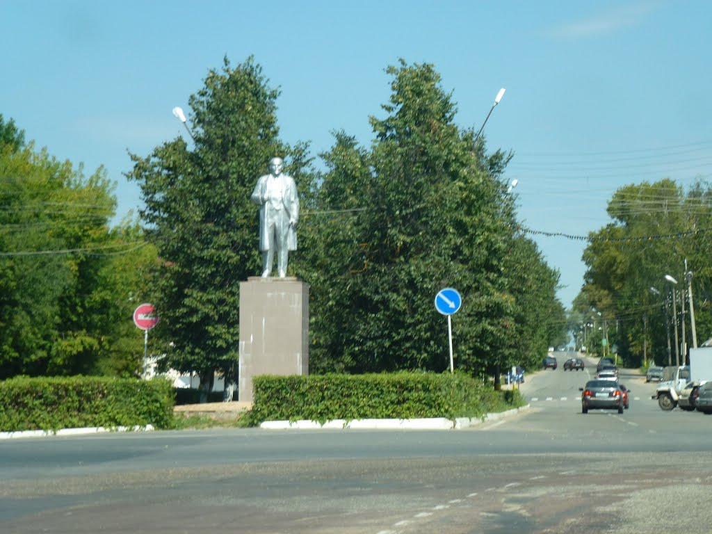 Ленин в Медыни, Медынь