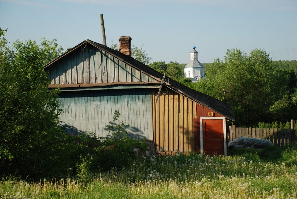 Мосальск. Дальний вид на церковь Св. Троицы, Мосальск