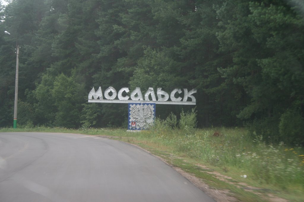 Въезд в Мосальск, Мосальск