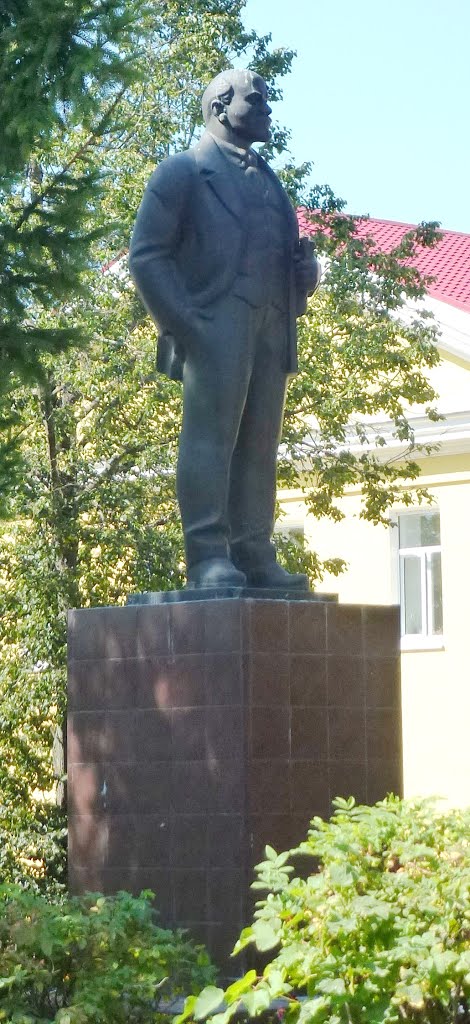 Ленин в Мосальске, Мосальск