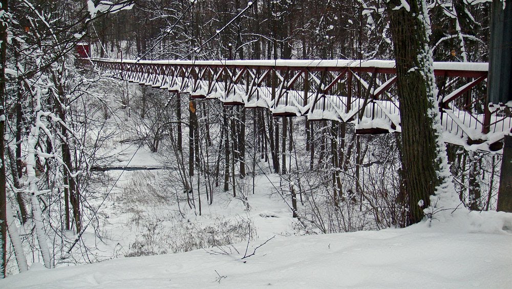 Подвесной мост, Обнинск