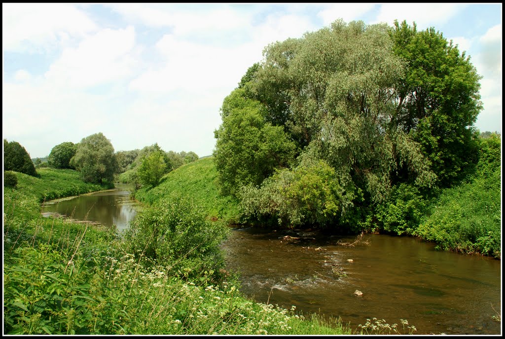 река Таруса, Таруса