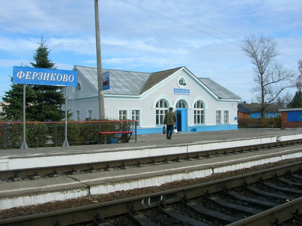 Станция Ферзиково, Ферзиково