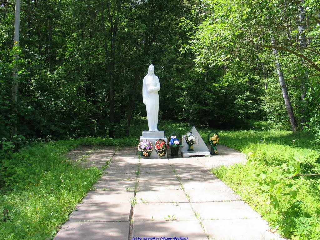 Памятник погибшим воинам в с.Хвастовичи (06.06.2010), Хвастовичи