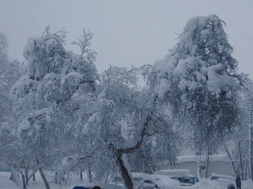 Выпал снег, Вилючинск