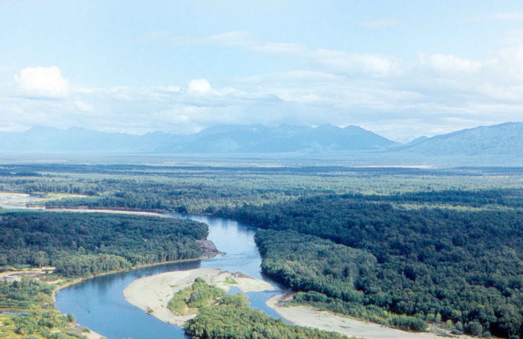Река Камчатка, Крапивная