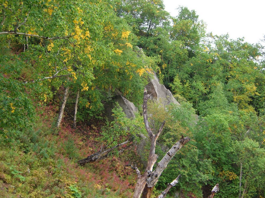 Kamchatka, Esso. White Rocks - a site for visiting of Bystrinsky Natural Park., Крапивная