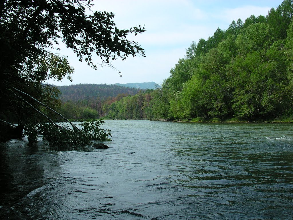 Schapina river, Крапивная