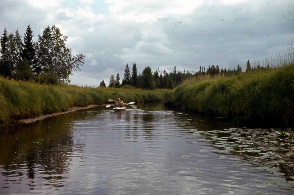 р.Илекса 1980г, Вирандозеро