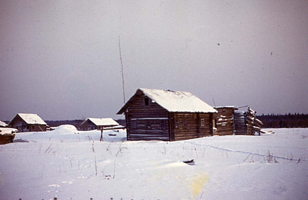 Калгачиха 1979, Вирандозеро
