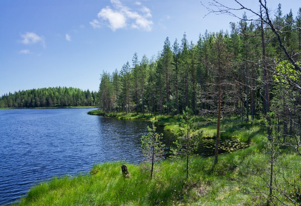 Озера Лычные, Деревянка