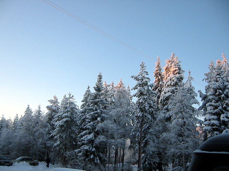 Костомукша город мира и труда, Костомукша