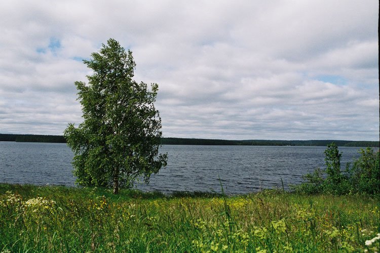 Konttoki Lake, Костомукша