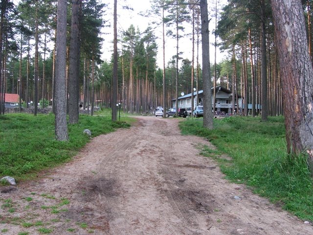 База отдыха, вид с берега, Медвежьегорск