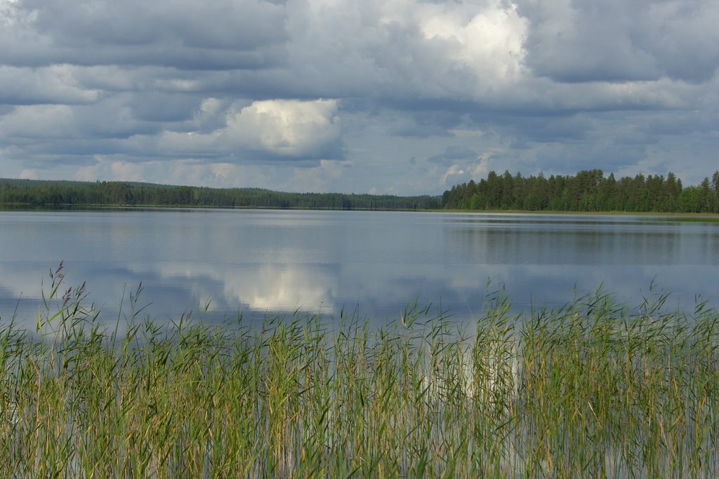 Harkkojärvi, Ilomantsi, Муезерский