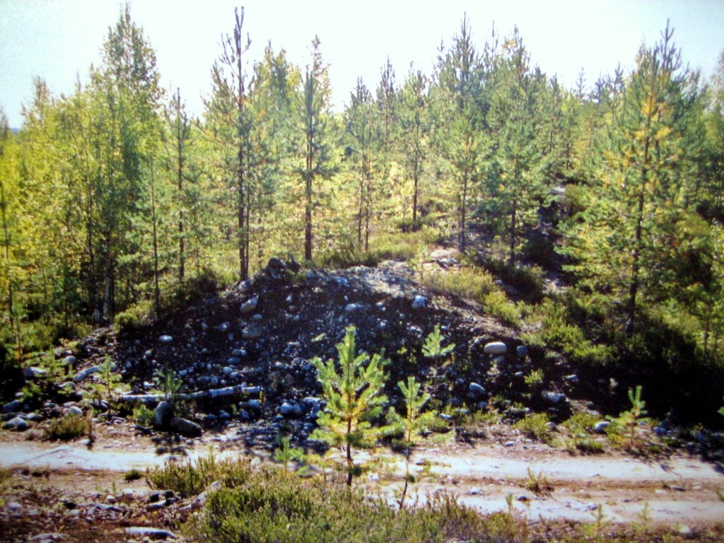 Road cut through Likosärkkä end moraine, Aug 2003, Муезерский