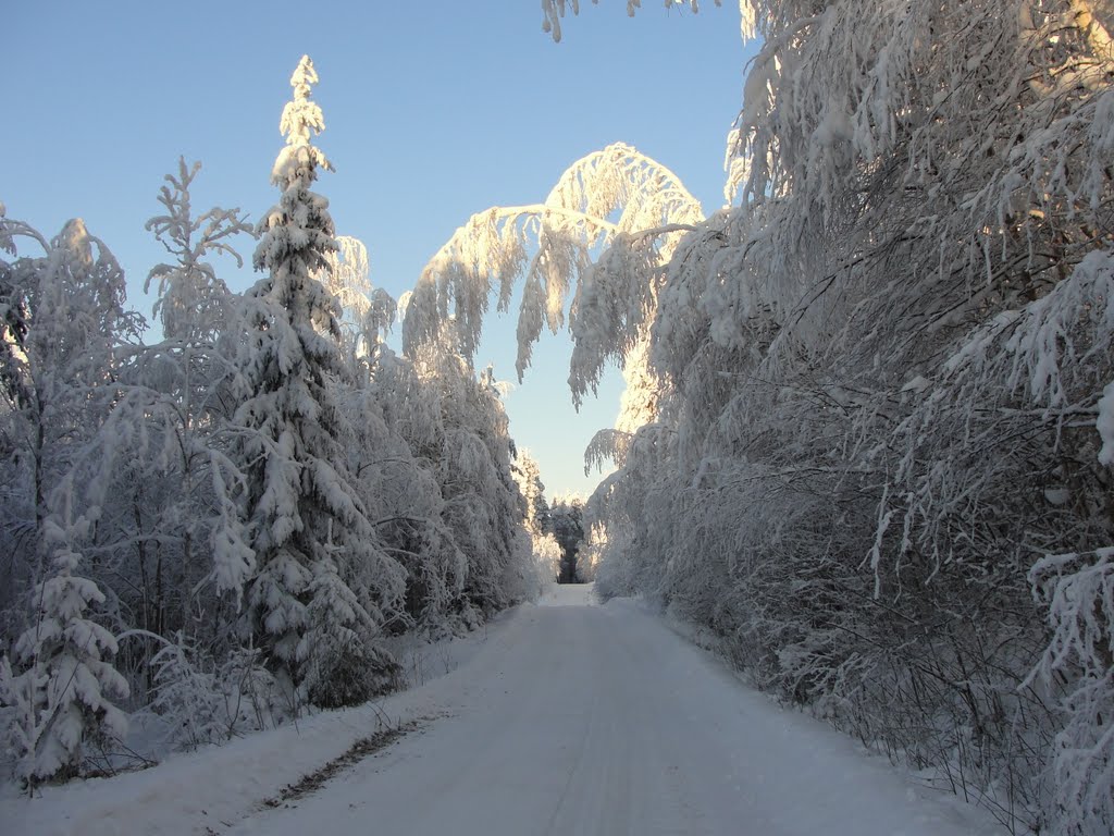 Winter landscape, Муезерский