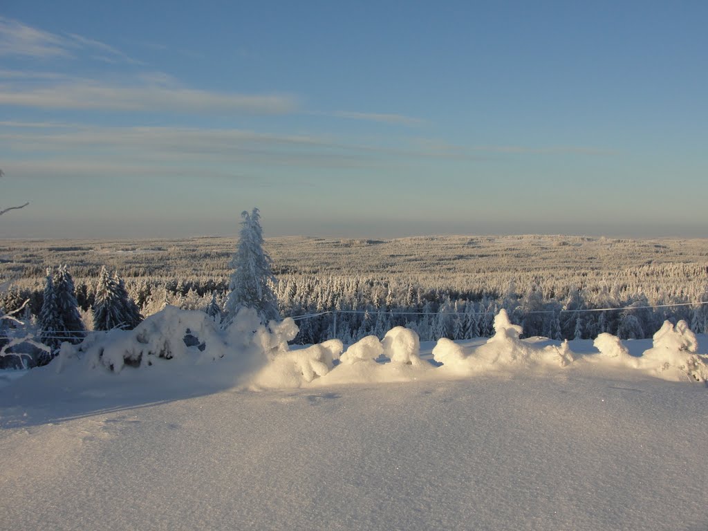 Winter landscape from Ilomantsi/Naarva, Муезерский
