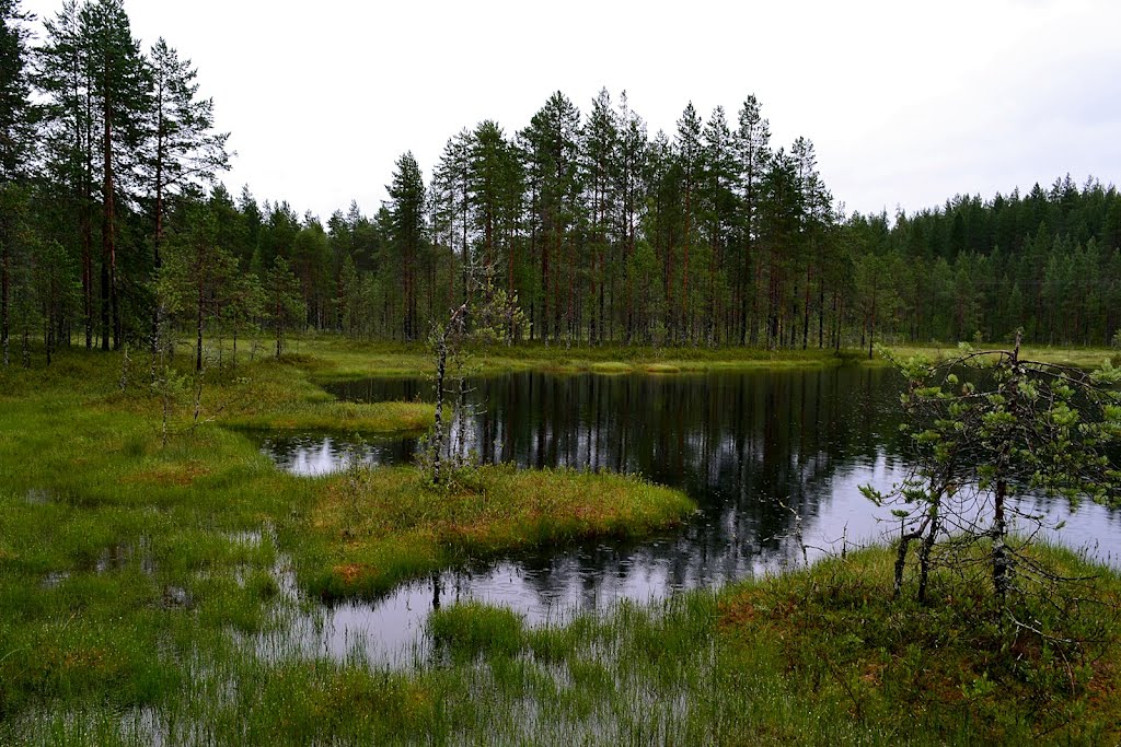 Rain at the nameless "176.3 pond" (Kontiovaara, Ilomantsi, 20120719), Муезерский