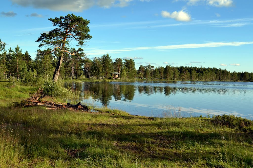 Swimming place of Lake Naarvanjärvi (Ilomantsi, 20120720), Муезерский