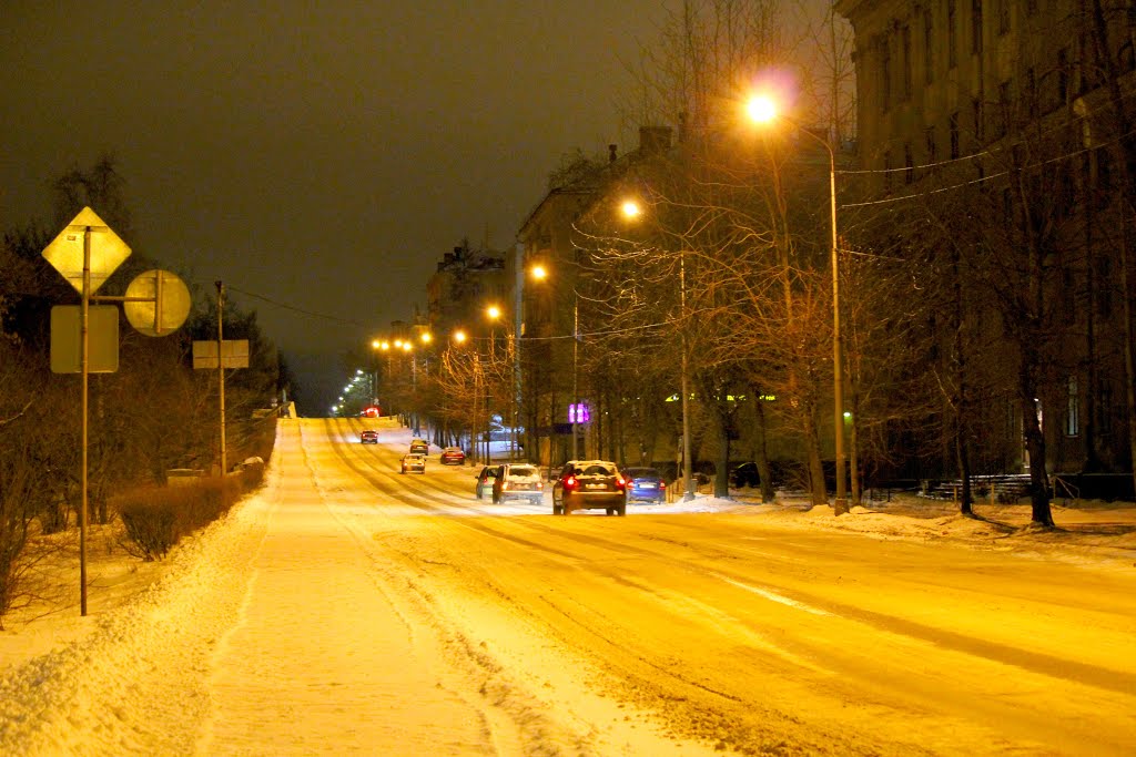 Улица Пушкинская, Петрозаводск