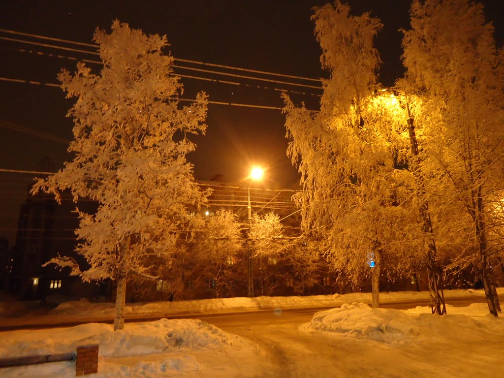 Зимняя сказка, Петрозаводск