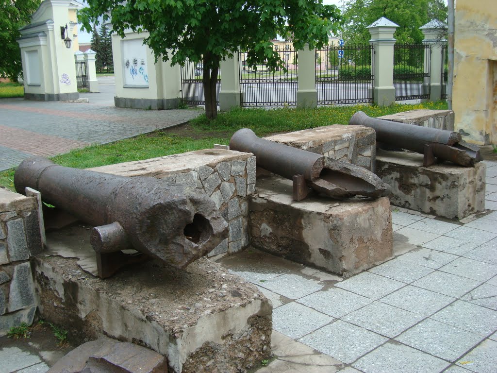 Пушки в губернаторском парке, Петрозаводск