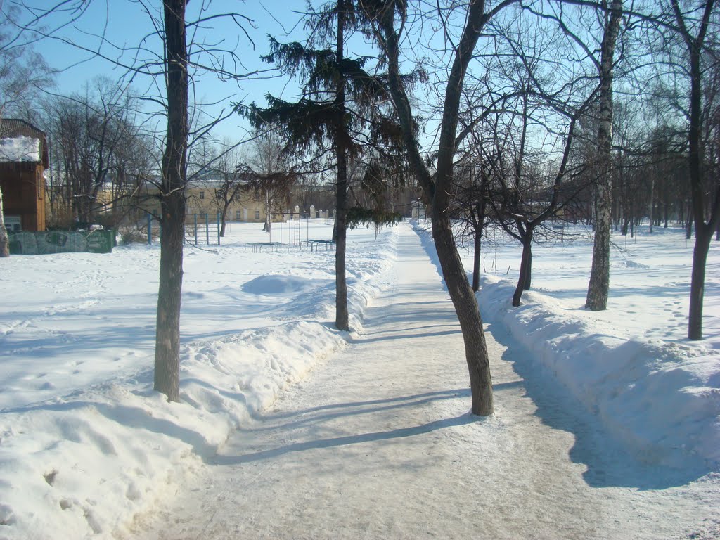 Аллея губернаторского парка, Петрозаводск