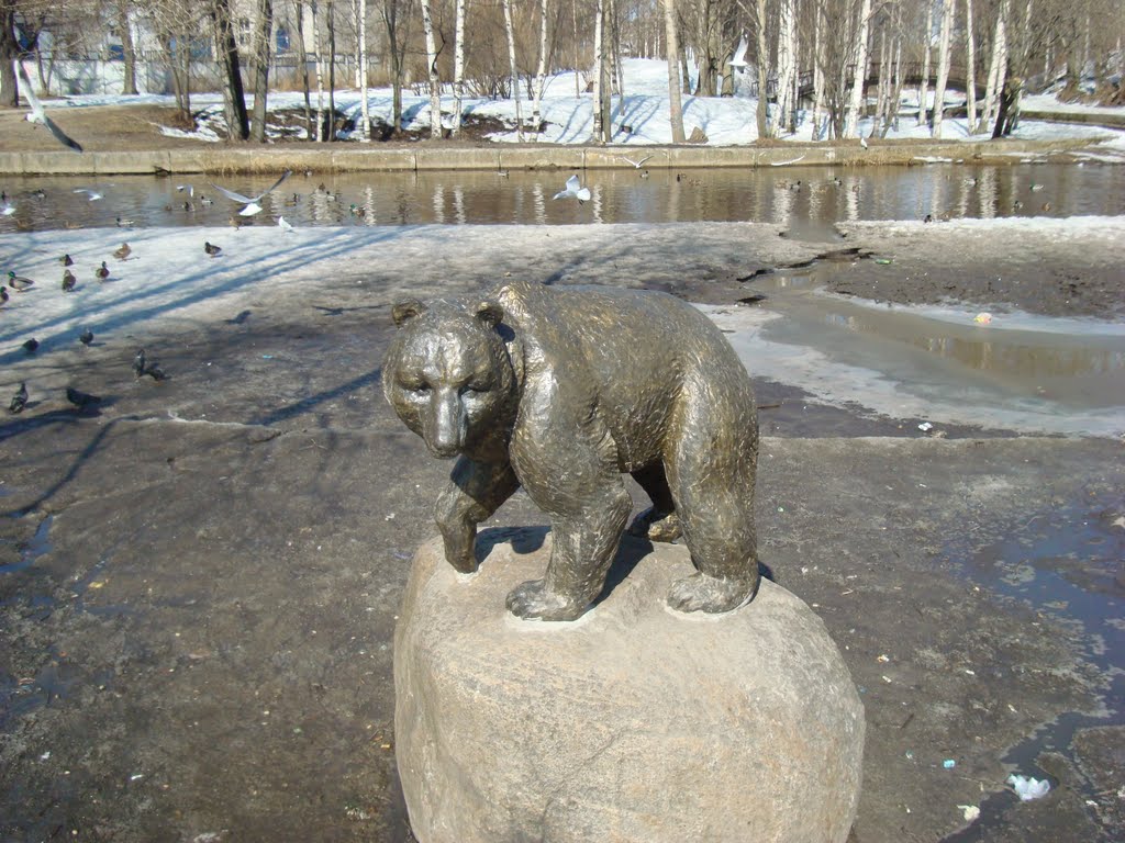 Хозяин тайги, Петрозаводск