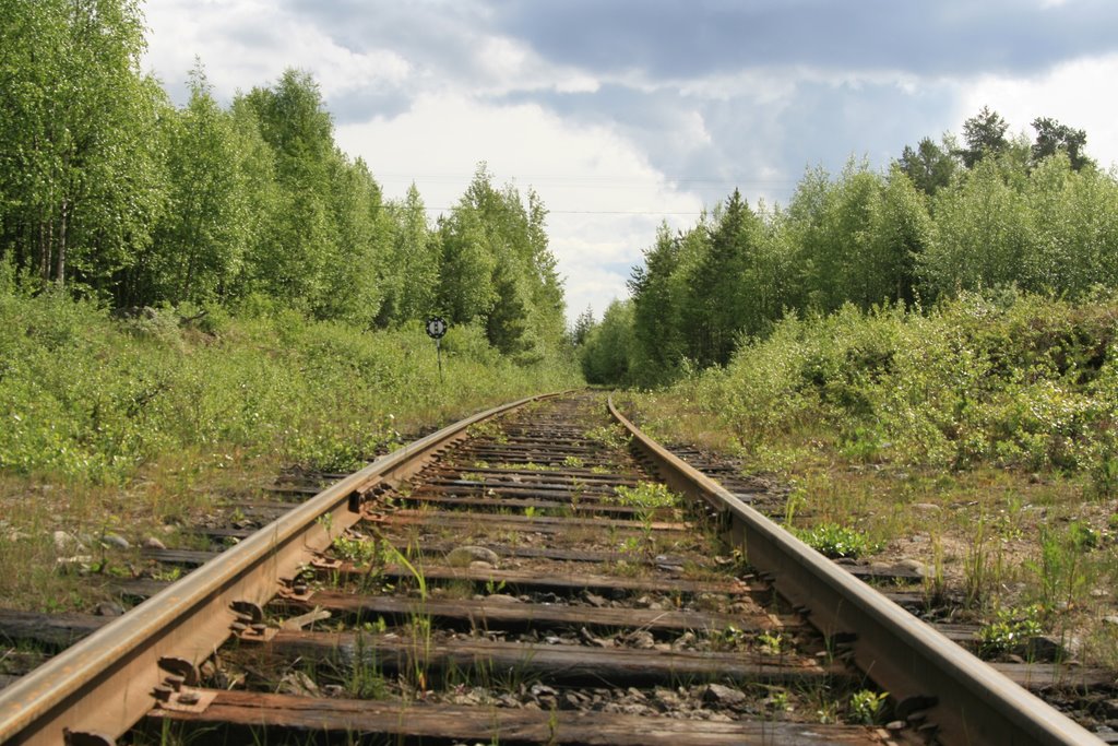 Железная дорога в посёлок Пяозёрский, Софпорог
