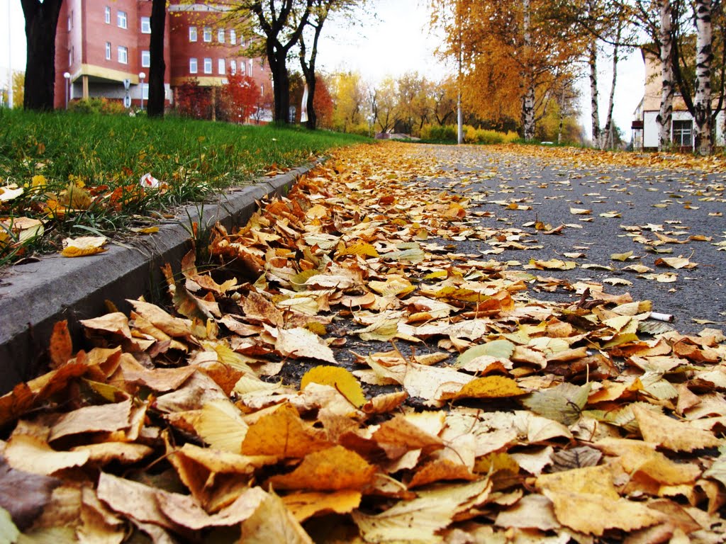 осенью, Анжеро-Судженск
