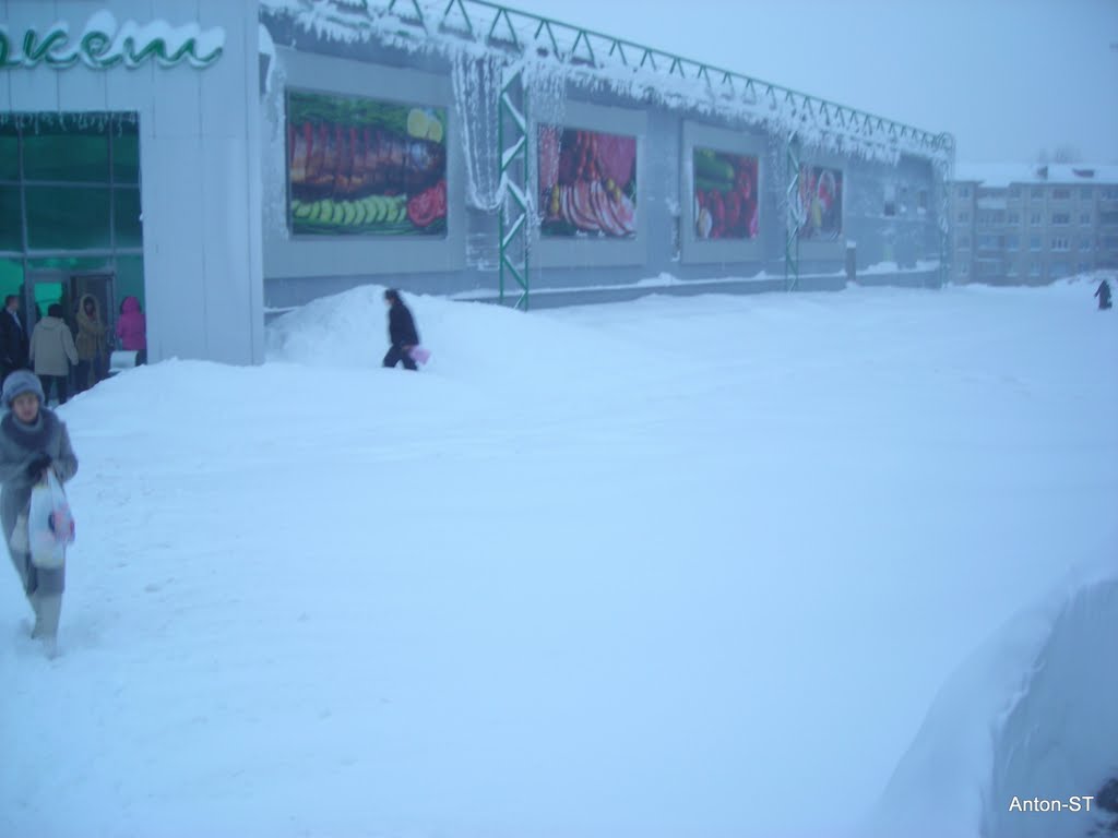 Кора в снегу, Березовский