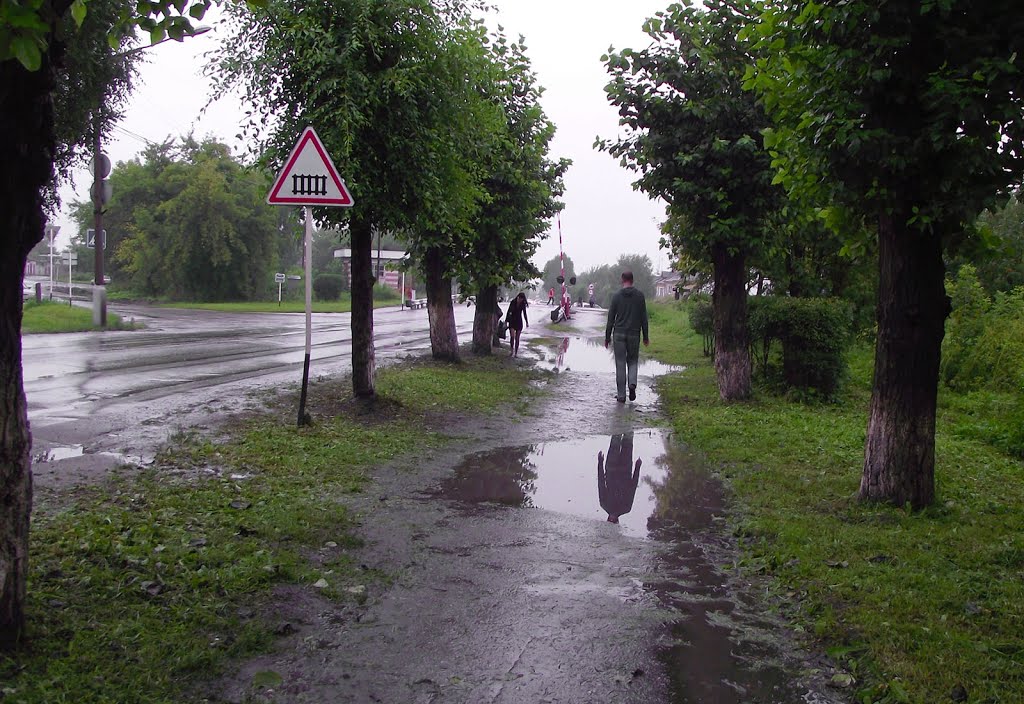 проблема пешеходов для города не проблема, Гурьевск