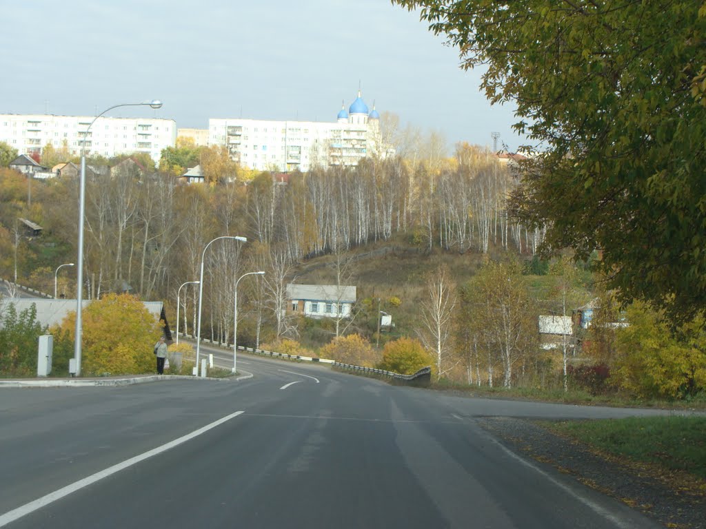 Долина реки Уньга., Кедровка