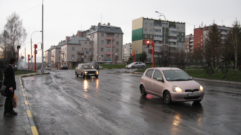 Вид на улицу Торговая 2011, Кедровка
