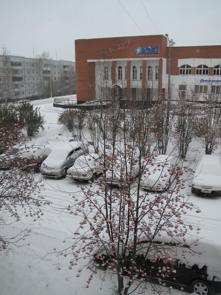 Вид из окна на ресторан, Кедровка
