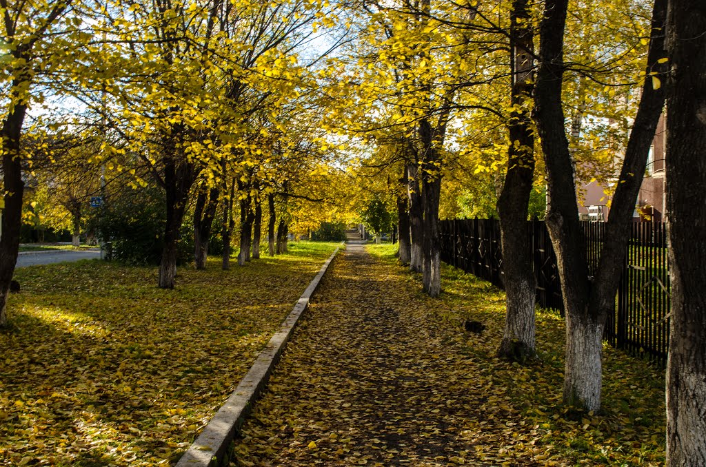 Осень, Кедровка