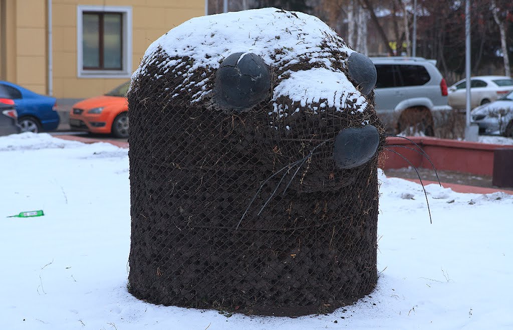ул.Дзержинского,2: фигура крота или тюленя; 19.11.2011, Кемерово