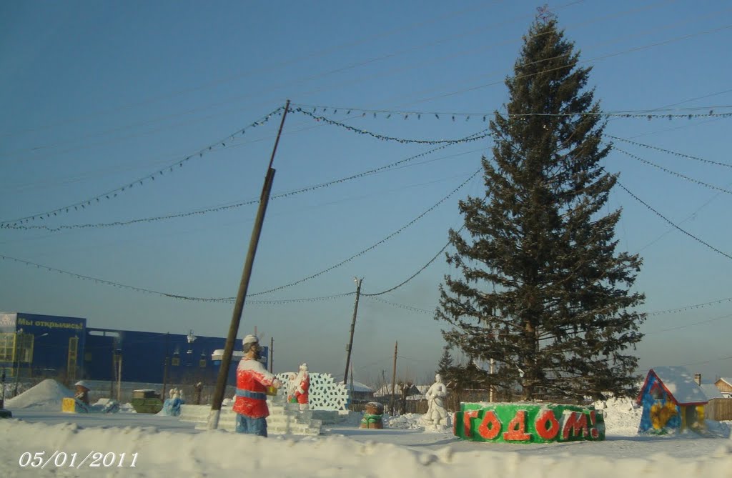 05.01.2011, Мариинск