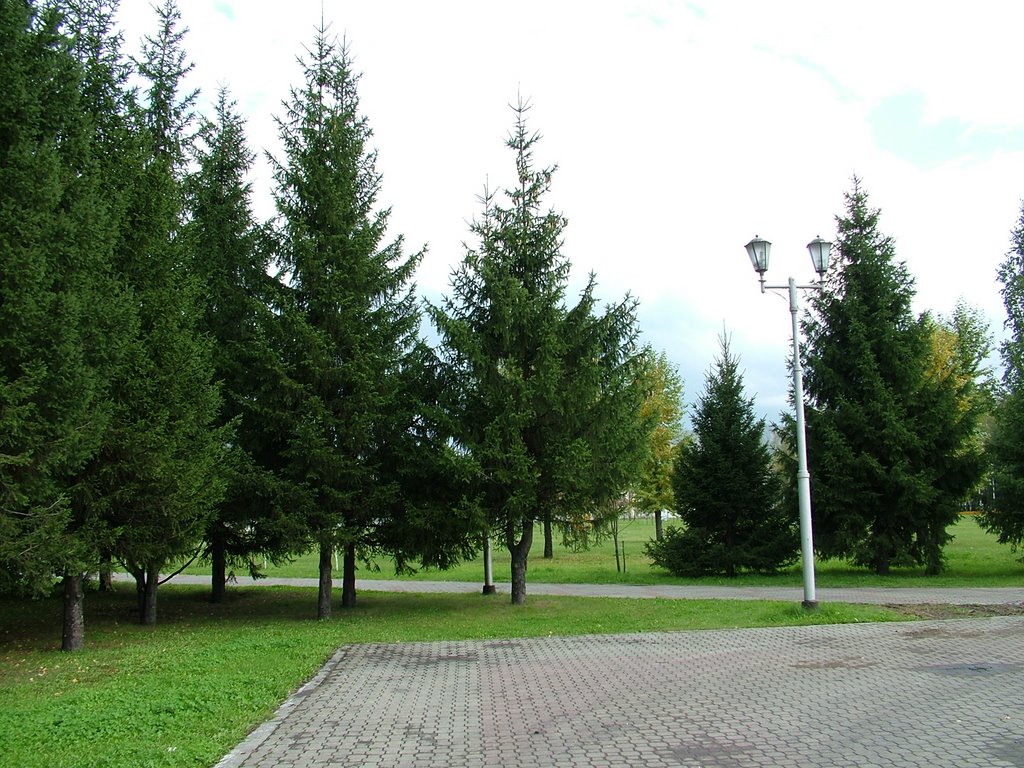 городской парк 4, Междуреченск