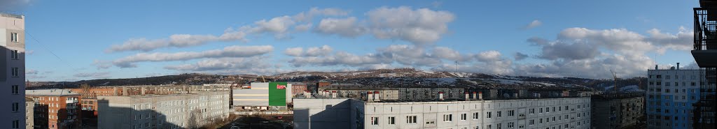 Panorama, Осинники