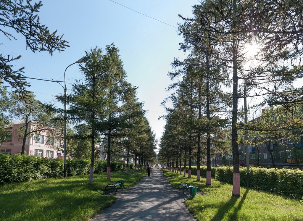 Аллея на ул. Комсомольской, вид на перекрёсток с пр-ктом Шахтёров, июнь 2013, Прокопьевск