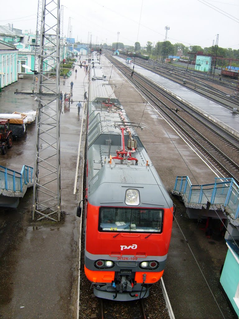 Станция Тайга, Тайга