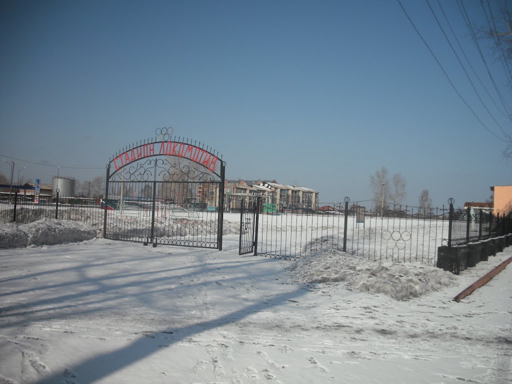 Стадион Локомотив, Тайга