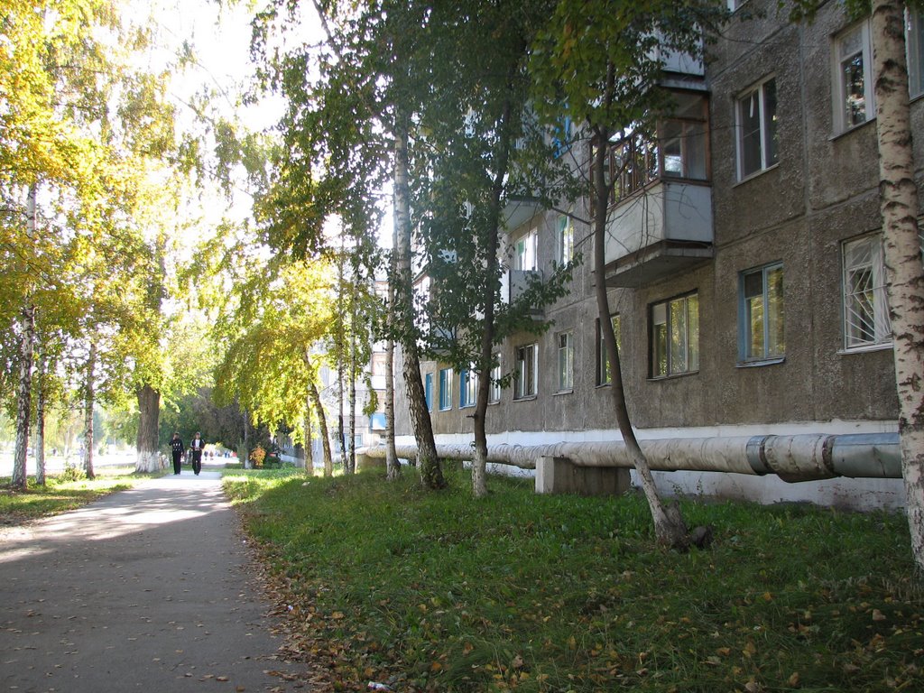 улица Луначарского, Топки