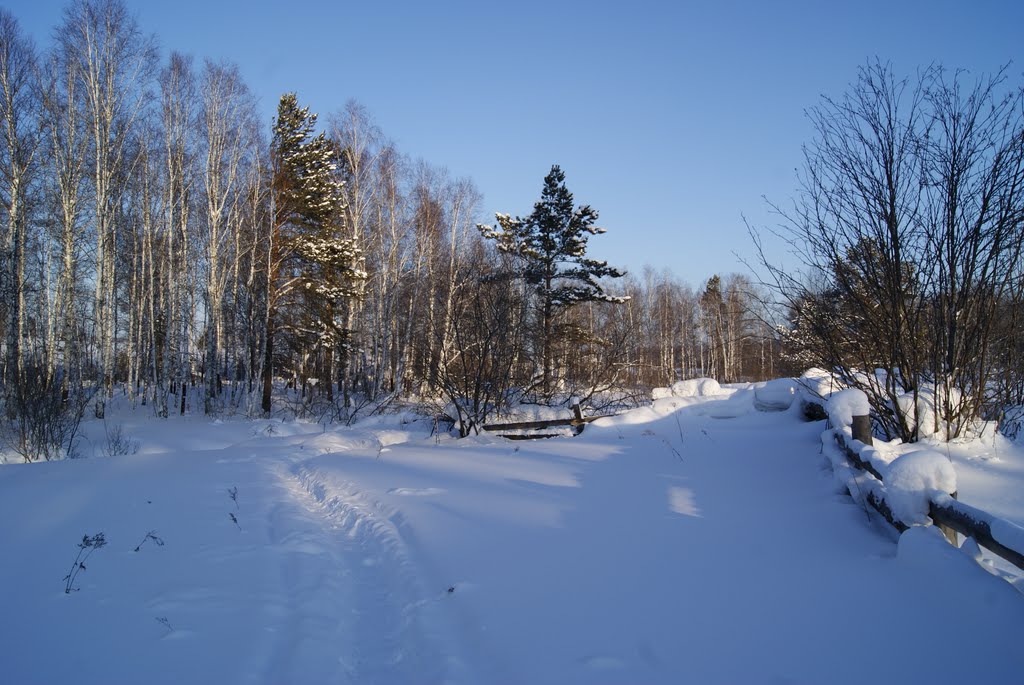 зима в деревени (утро), Тяжинский