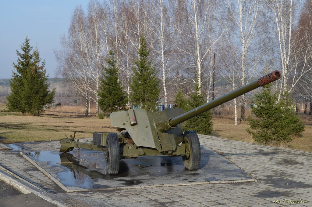 Артиллерийское орудие в мемориальном комплексе (апрель 2012г.), Юрга