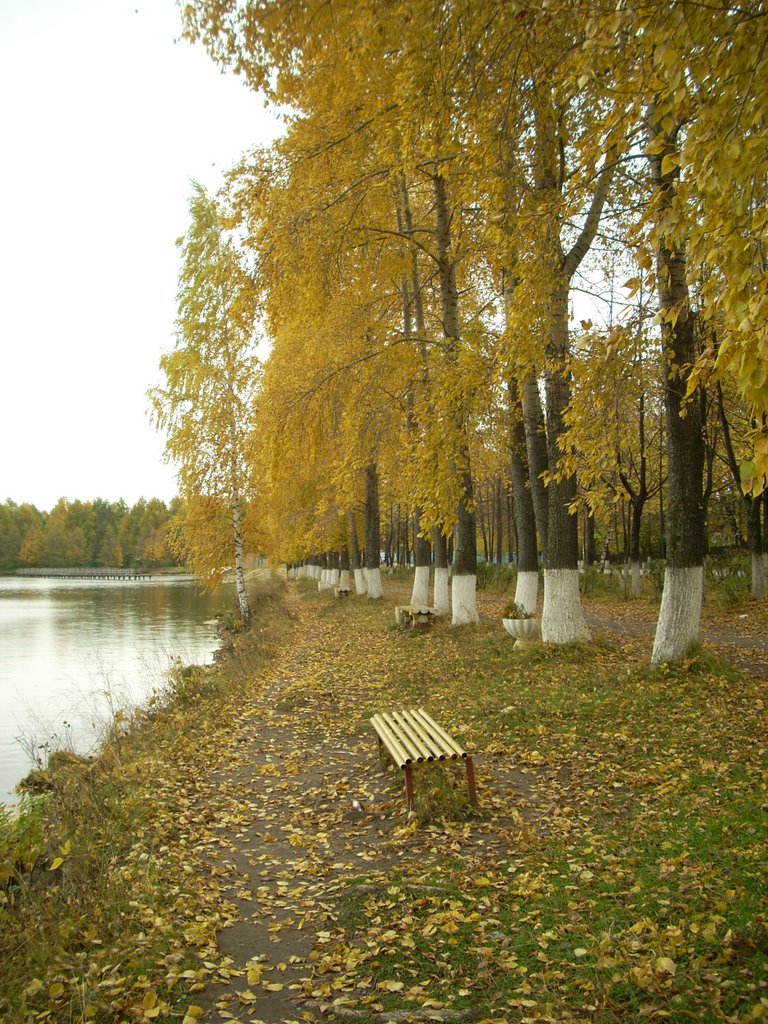 Осень, Белая Холуница