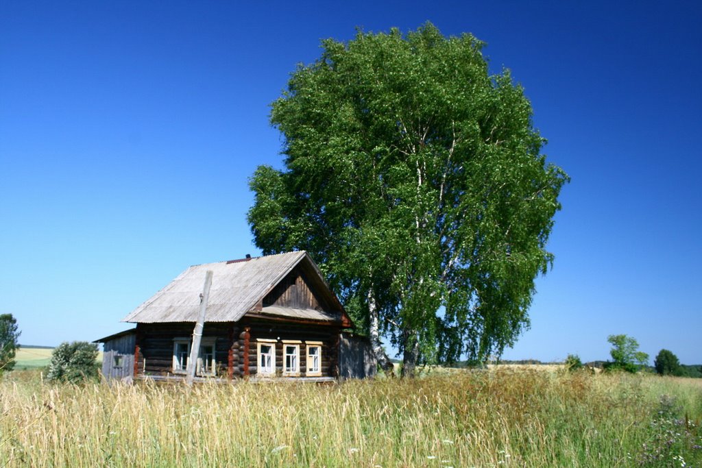 Последний дом в д. Кузницы, Богородское